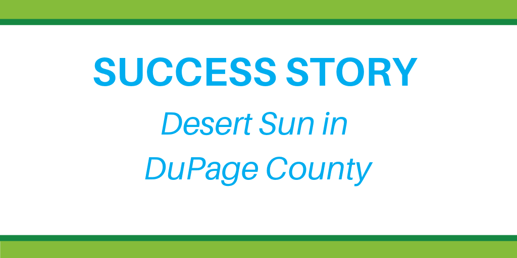 Desert Sun in Dupage County